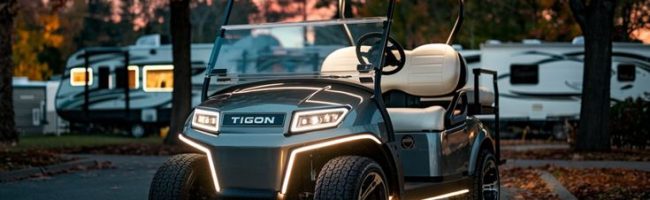 Metallic Silver Colored Golf Cart By TIGON Golf Carts